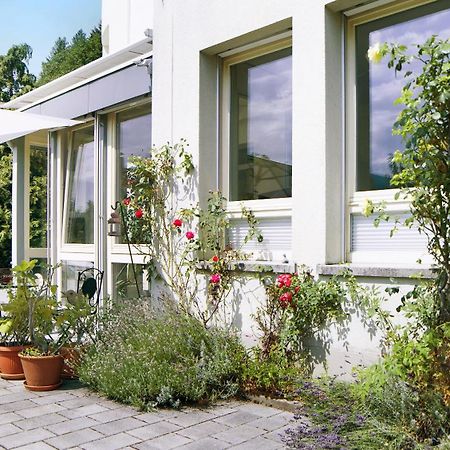 Ferienwohnung Zum Goldenen Kopf Елзах Екстериор снимка