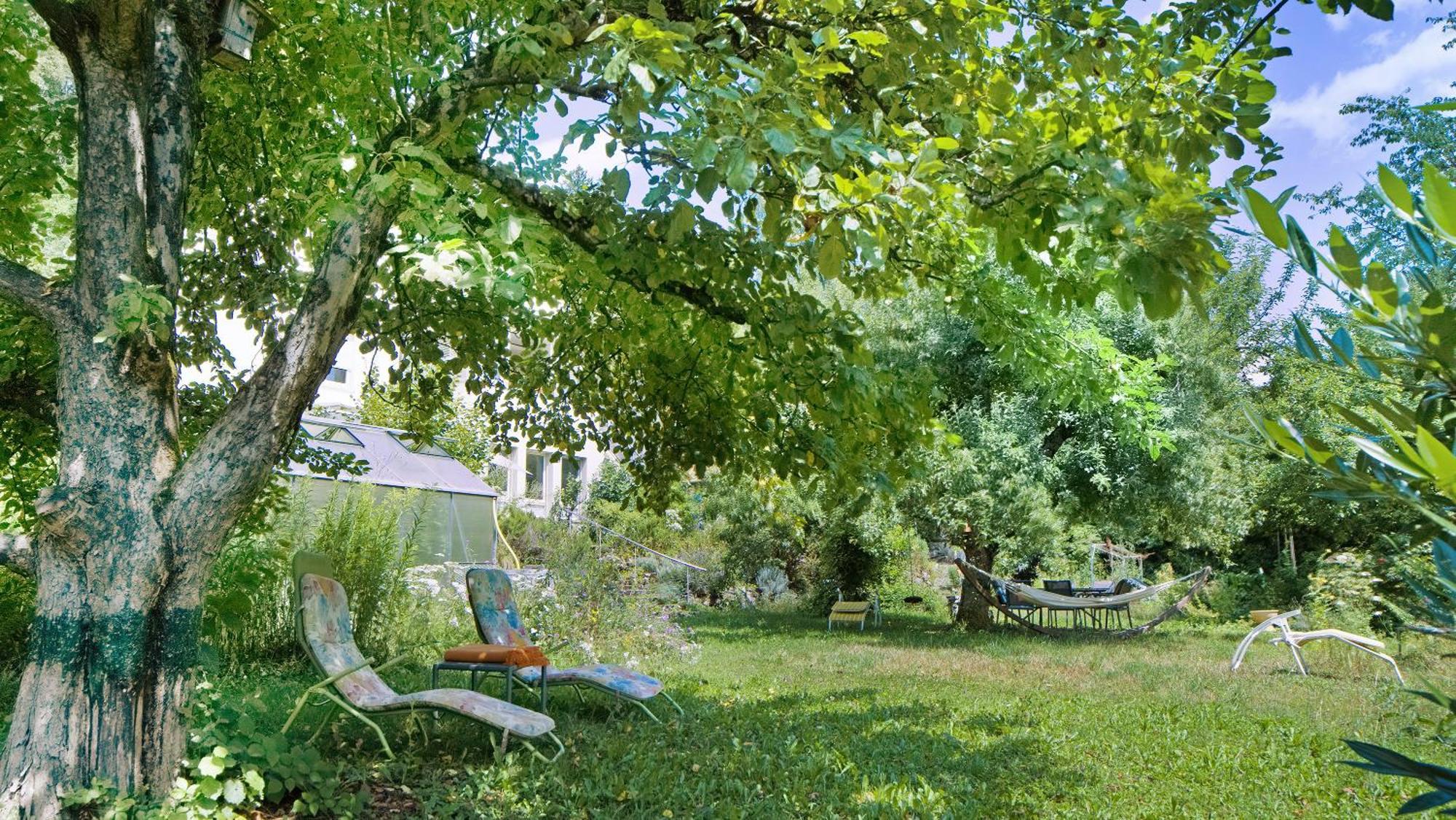 Ferienwohnung Zum Goldenen Kopf Елзах Екстериор снимка